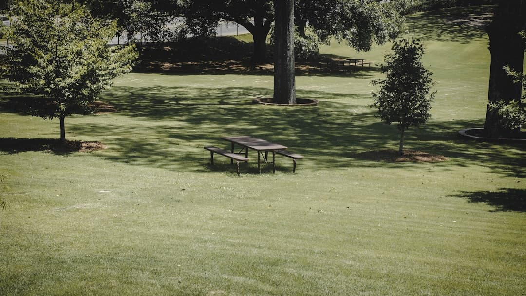 Comprehensive Lawn Health